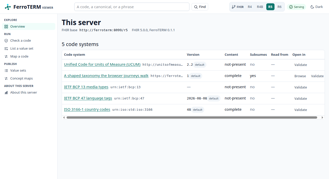 The overview screen, listing the code systems this server loaded