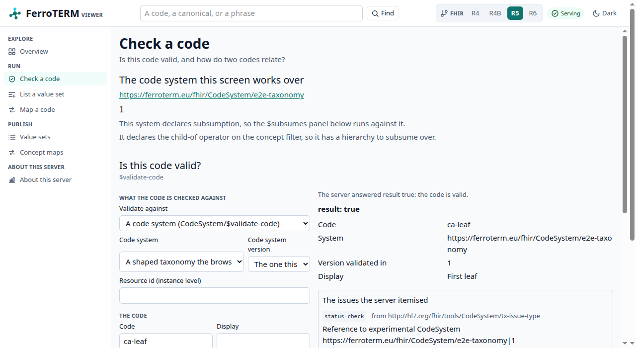 The validation runner, with a verdict on one code and the subsumption runner below it